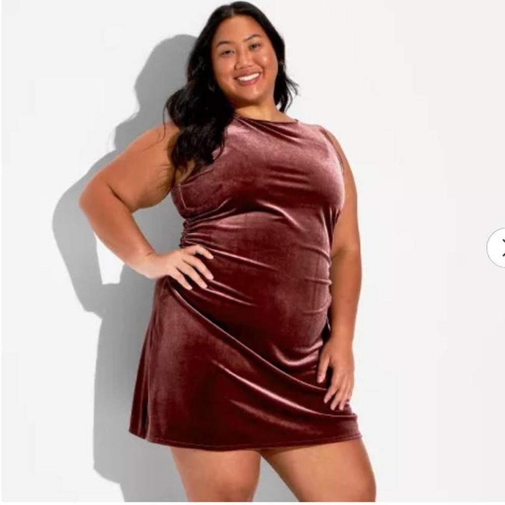 Wild Fable Women's Velvet Mini Sheath Dress